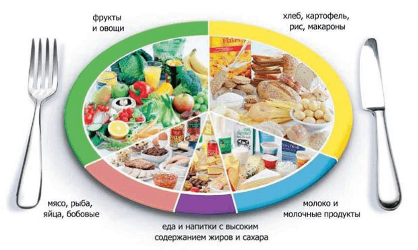 Русский язык. Базовый уровень